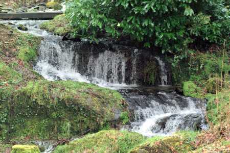 A River Of Life